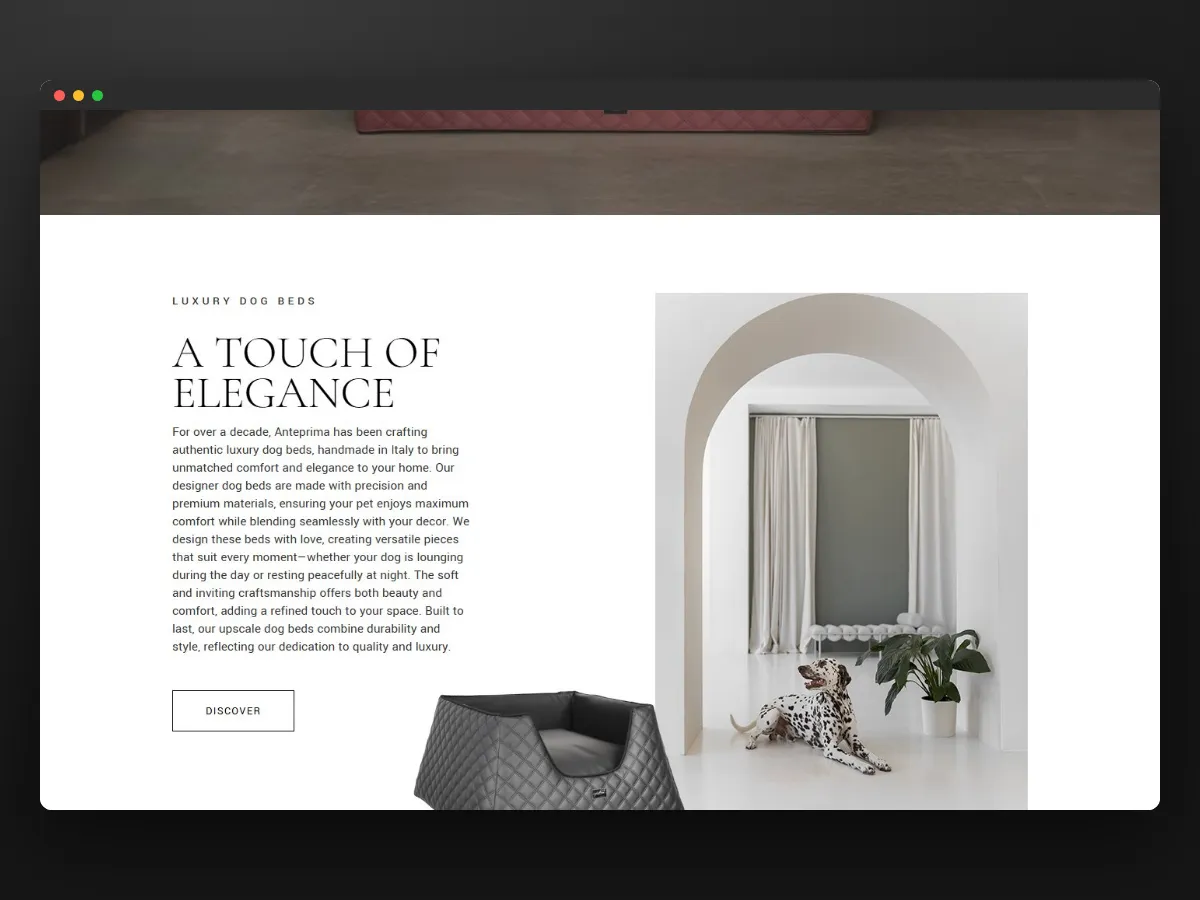 Una pagina del negozio Anteprima con una cuccia di design